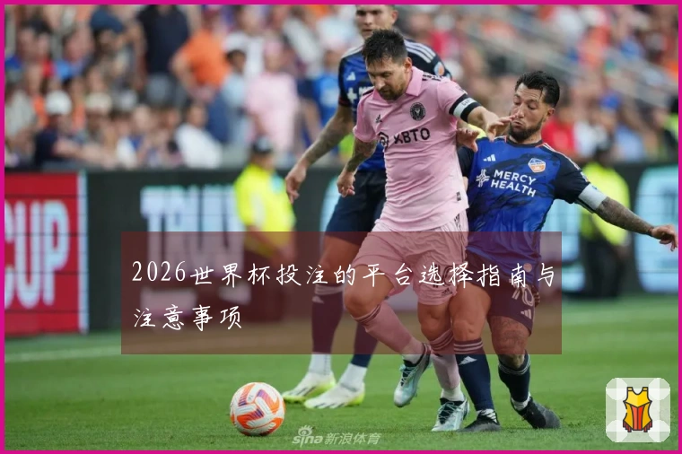 2026世界杯投注的平台选择指南与注意事项