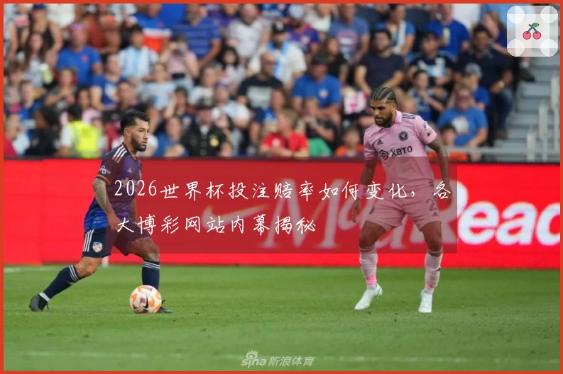 2026世界杯投注赔率如何变化，各大博彩网站内幕揭秘