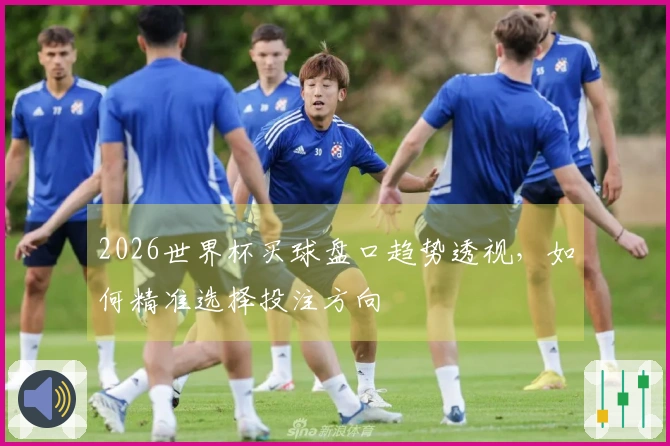 2026世界杯买球盘口趋势透视，如何精准选择投注方向