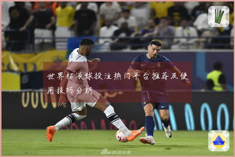世界杯滚球投注热门平台推荐及使用技巧分析