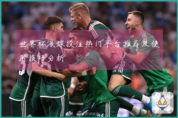 世界杯滚球投注热门平台推荐及使用技巧分析