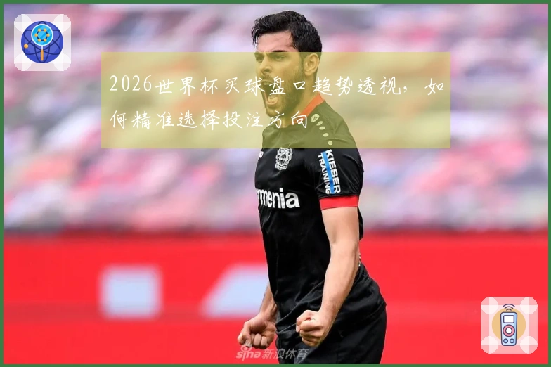 2026世界杯买球盘口趋势透视，如何精准选择投注方向