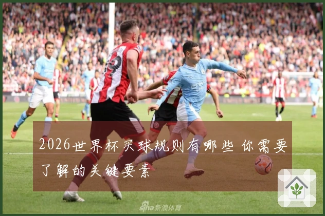 2026世界杯买球规则有哪些 你需要了解的关键要素