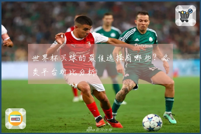 世界杯买球的最佳选择有哪些？各类平台对比分析